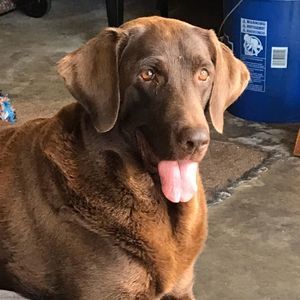 Meet your Posher, Christy